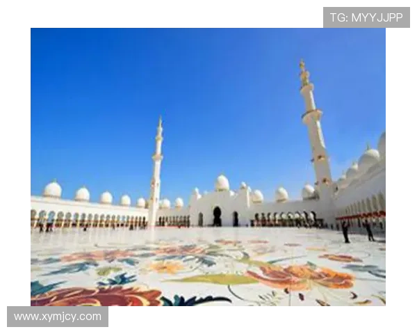 蓉城旧将萨尔达尼亚租借沙迦